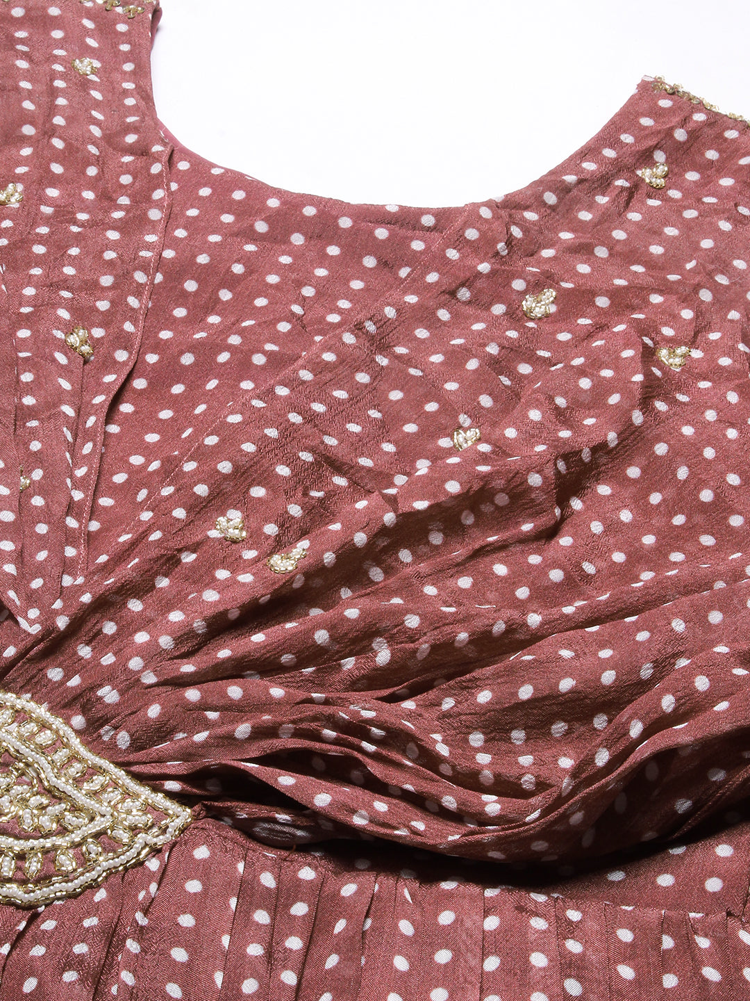 Polka Dot Printed & Hand Embroidered Fit & Flare Maxi Dress - Brown