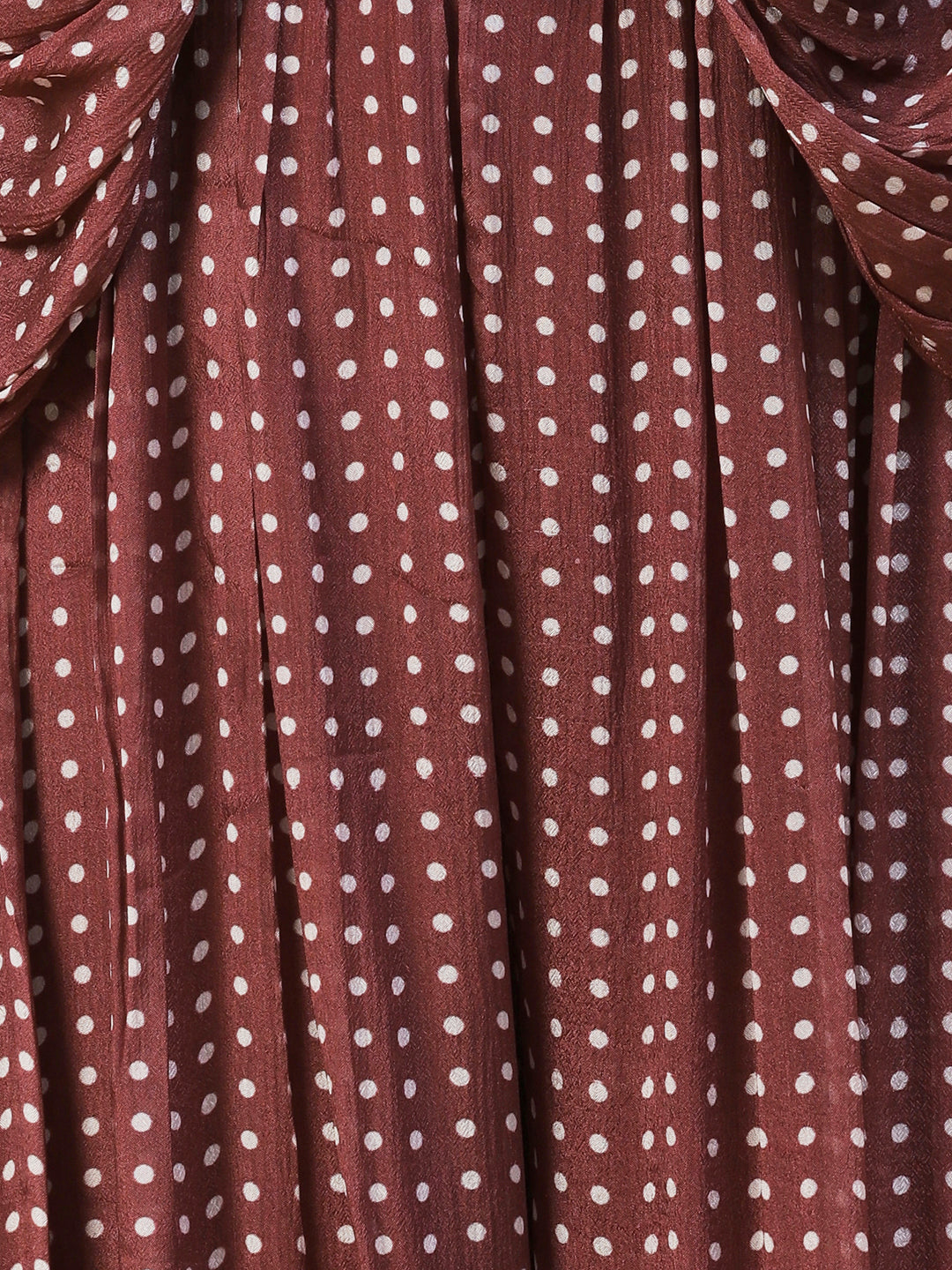 Polka Dot Printed & Hand Embroidered Fit & Flare Maxi Dress - Brown