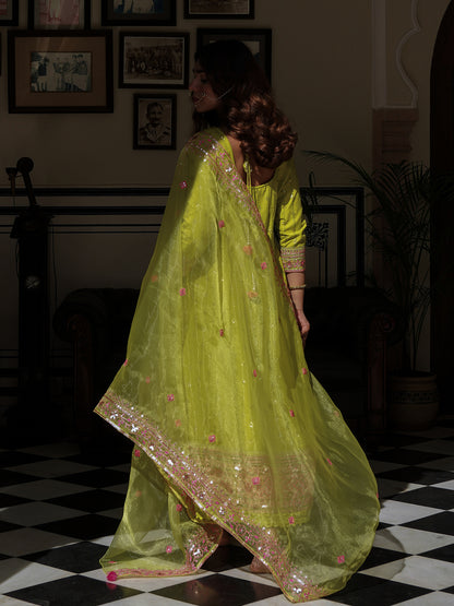 Solid Sequins & Resham Embroidered Anarkali Dress with Embroidered Dupatta - Lime Green